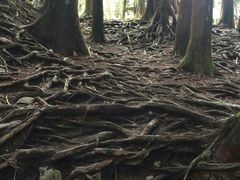 -优游吧斯邹族文化部落