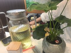 -懂羊帝·羊蝎子·北京菜(小关店)