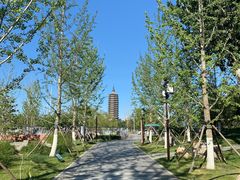 -西海子公园