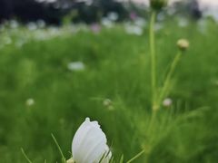 -城市运动公园(未央区)
