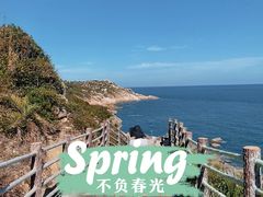 -广东惠东海龟国家级自然保护区