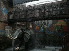 -北京呀路古热带植物园