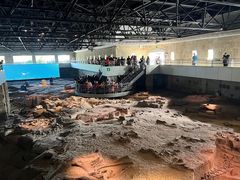 -自贡恐龙博物馆