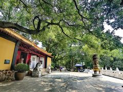 -狼山风景名胜区