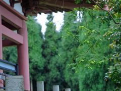 -钟鼎寺