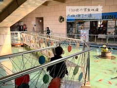 -陕西自然博物馆