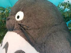 -三鹰之森吉卜力美术馆