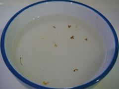 杏仁豆腐-奶酪魏(牛街总店)