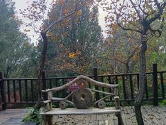 -北京十三陵国家森林公园蟒山景区