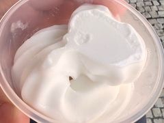 椰子雪糕&nbsp;椰子汁-洪馨椰子