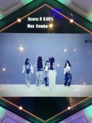 -卡通尼·Safari非洲探索乐园·生日会(金桥国际商业广场店)