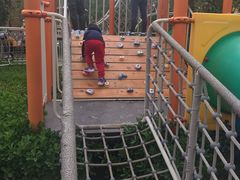 -廊坊固安福朋喜来登酒店