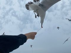 -海驴岛(荣成市)