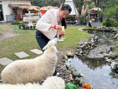 -HERRE·FARM 赫尔露营农场·团建聚会包场