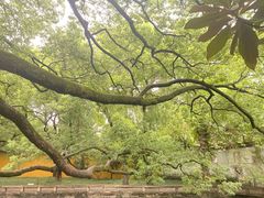 -西园戒幢律寺