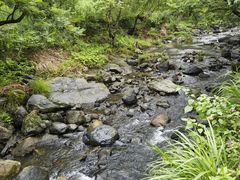 -石台牯牛降景区