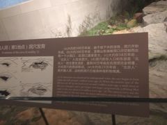 -北京周口店北京人遗址博物馆
