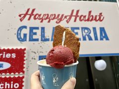 -海比甜店·意式手工冰激淋happy habit gelato