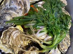 -千岛蚝高压锅生蚝·人参火锅(白云万达店)