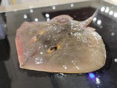 -天宫南铂玫瑰园酒店