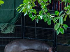 -泉州海丝野生动物世界