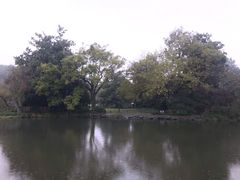 -西湖外事游船(花港观鱼码头)