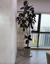 -HEYAN荷妍专业脱毛连锁机构