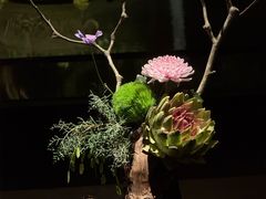 -曲水兰亭(北京四惠店)