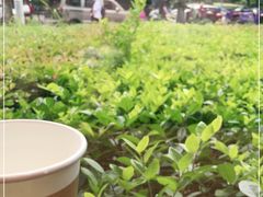 -麦田工坊(月湖店)
