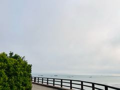 -青岛第一海水浴场