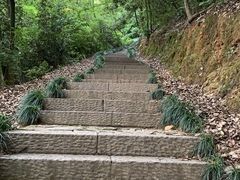 -杭州半山国家森林公园