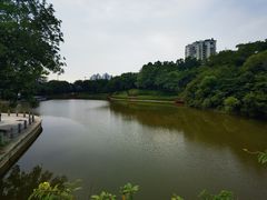 -深圳国际园林花卉博览园