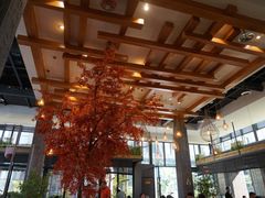 大堂-拈菜(观音桥阳光世纪店)