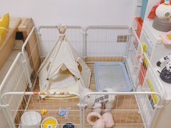 -唐小姐の猫狗洗护·购宠旗舰店(周浦万达店)
