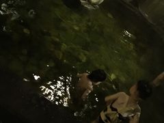 -杭州第一世界大酒店·云曼温泉