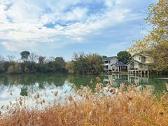 -新荣记(西溪湿地店)