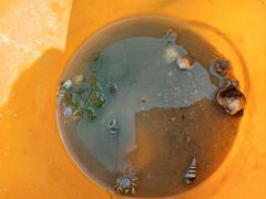 -北海金海湾红树林生态旅游区