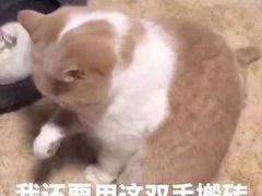 -全聚德(江宁店)