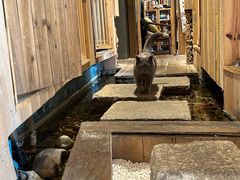 -邈墨茶馆(凤起路店)