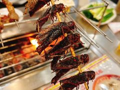 -小寒羊烧烤(凯瑞时代大厦店)