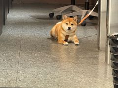 -加伍磅健身(千树店)