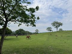 -良渚古城遗址公园