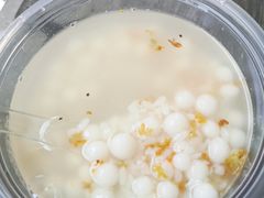 -潘玉麟糖粥