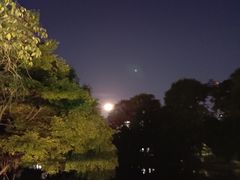 -花溪公园