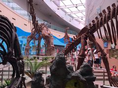 -陕西自然博物馆