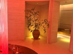 -舒小悦·舒养SPA·古法推拿(光环中心店)
