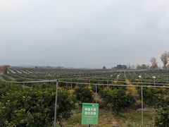 -金堂县云顶石城风景区