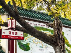 -岳麓山风景名胜区