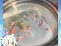 -幸福荣耀生鲜超市(和平街店)