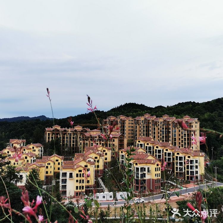 离重庆车程1.5小时避暑打卡地